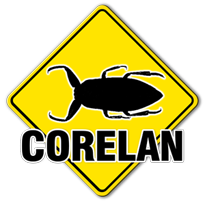 Corelan Badge